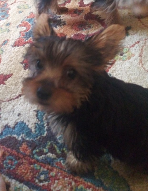 elliie20190829_095902_1_1.jpg