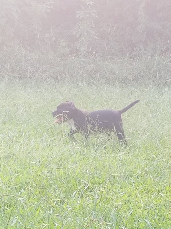 20190820_172403.jpg