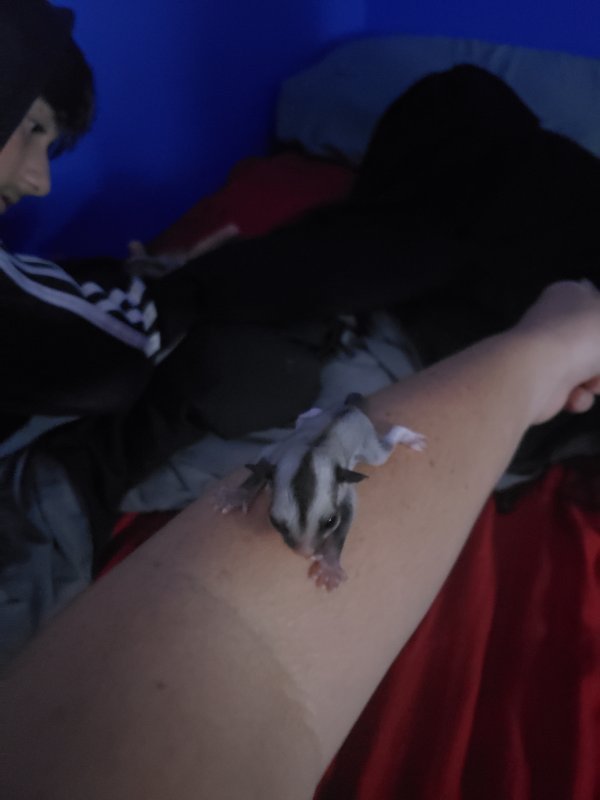 20190816_232015.jpg