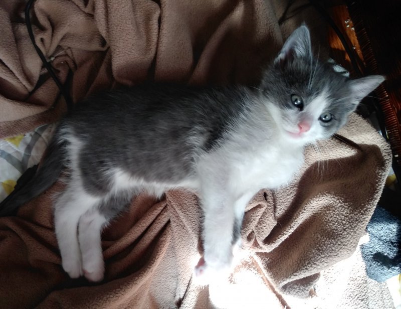 20190920_153540_HDR~3.jpg