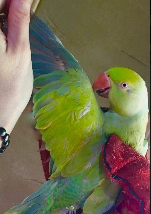 Screen Shot 10.jpg