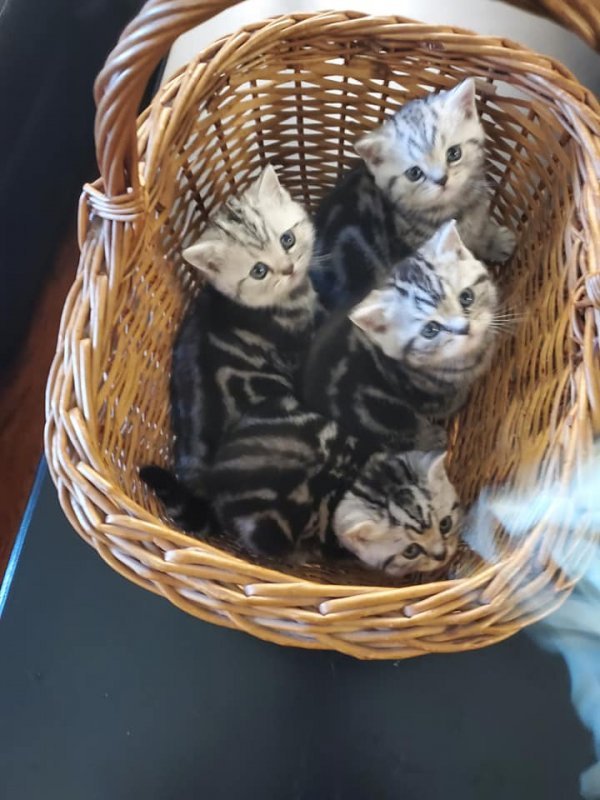 cute.jpg