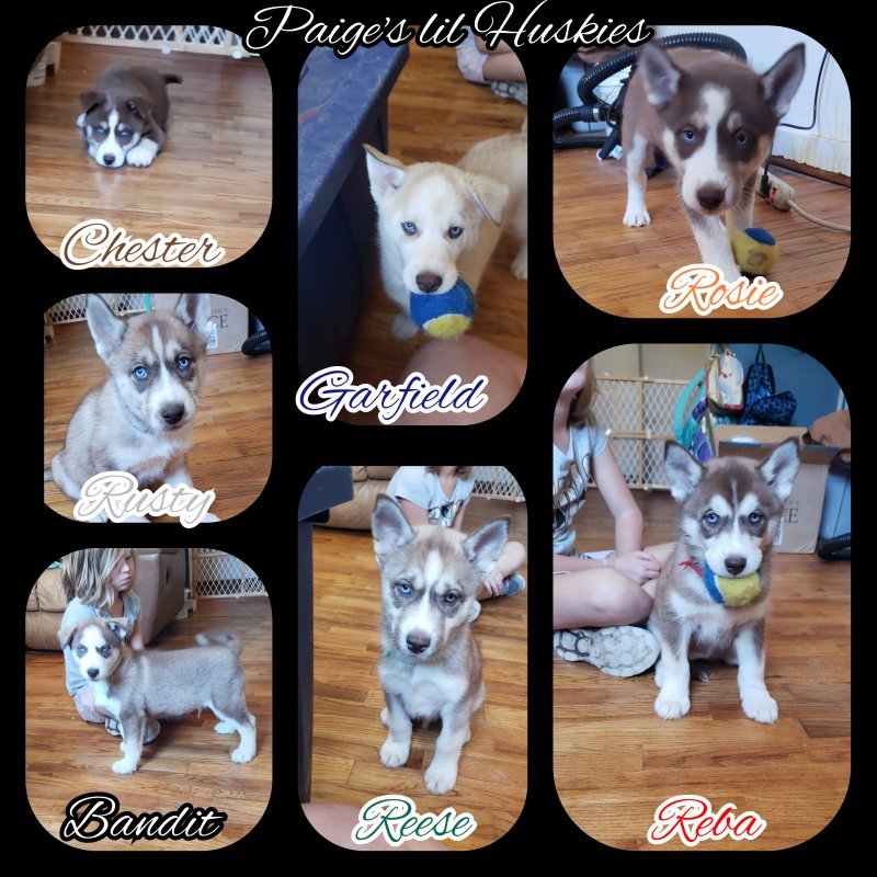 CollageMaker_20191005_130707978.jpg