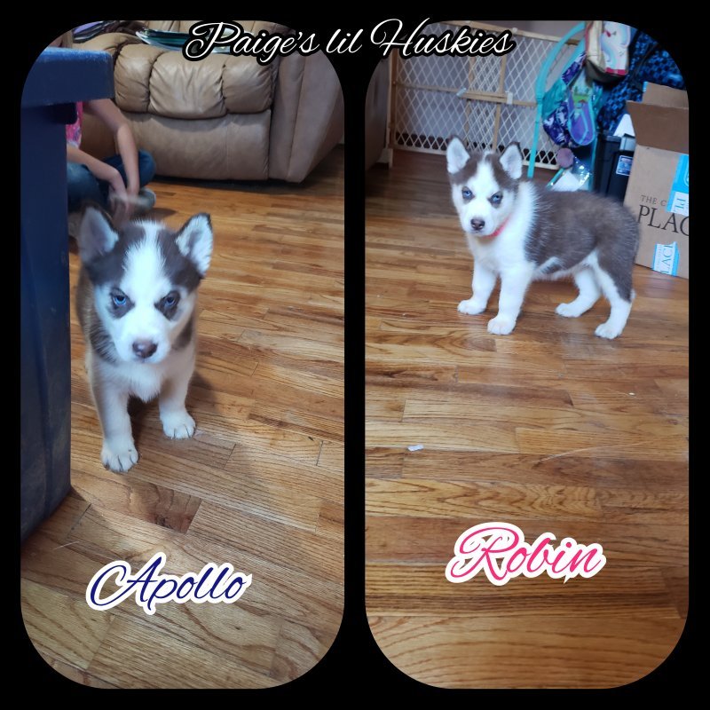 CollageMaker_20191007_012118093.jpg