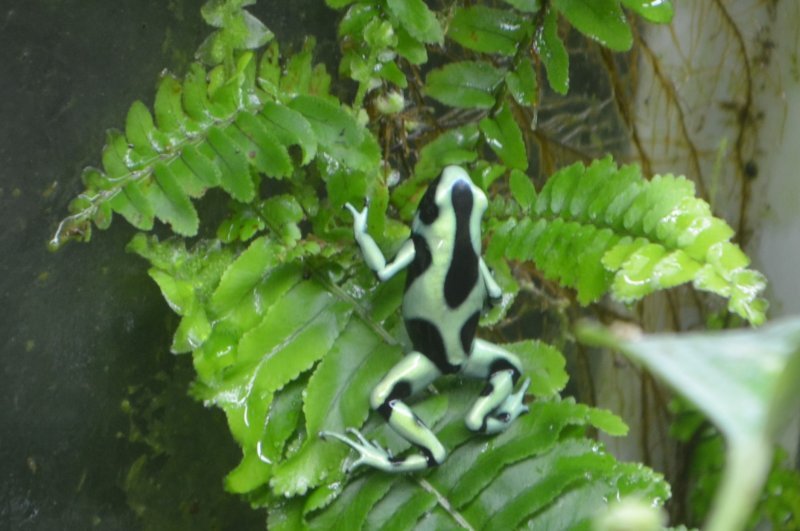 DSC_0283.JPG