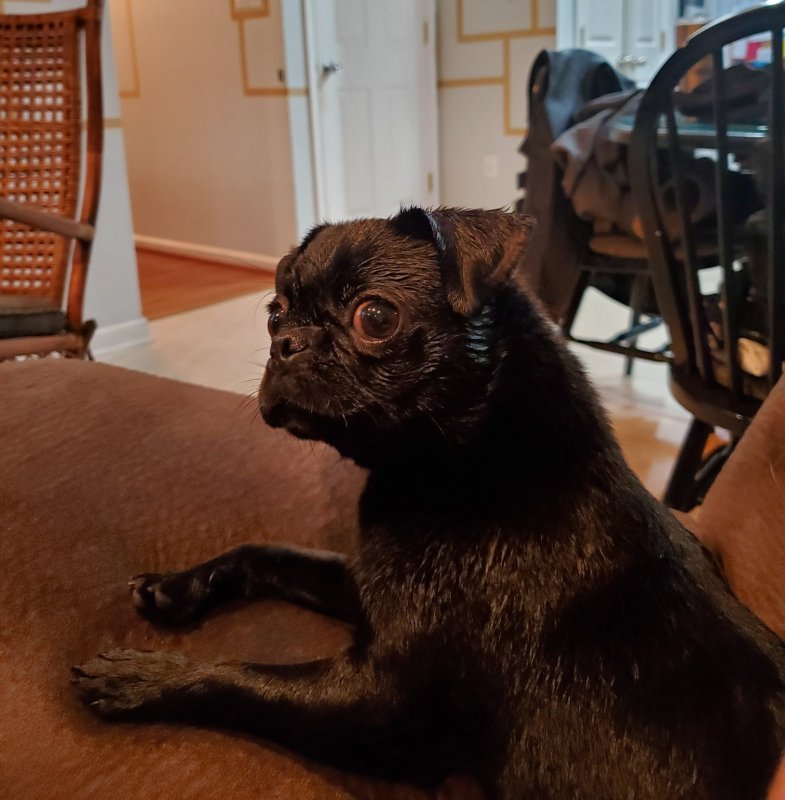 Resized_20190908_210117.jpeg