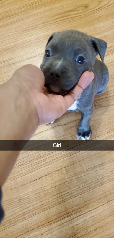 Snapchat-1182344481.jpg