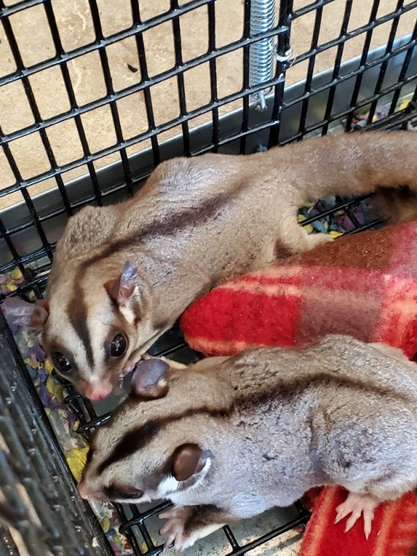 Female (2).jpeg Female (2).jpeg