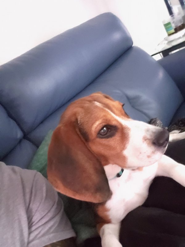 20191001_181616.jpg