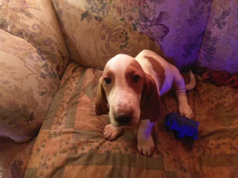 IMAG0284.jpg