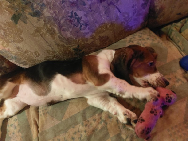 IMAG0292.jpg
