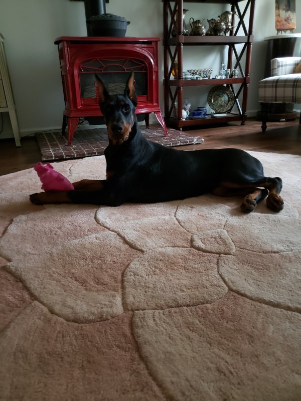 20190413_092719.jpg