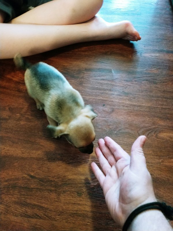 20191011_163114.jpg