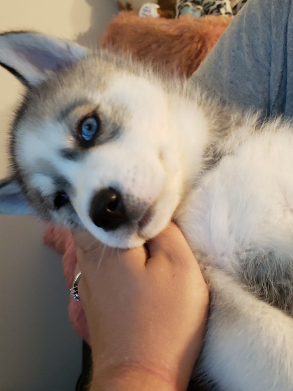 20190910_134518.jpg