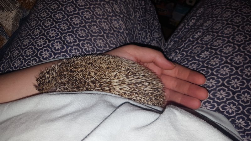 20190705_224544.jpg