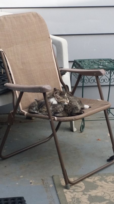 20191025_150916.jpg