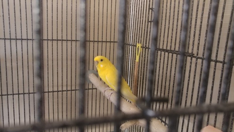 F5910185-24F3-46D3-AD9F-521280055796.jpeg