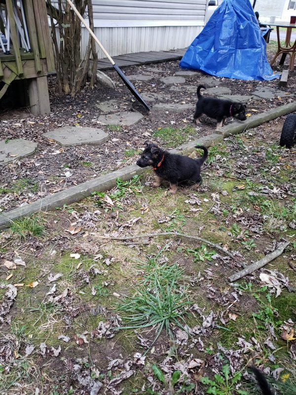 20191025_174709.jpg