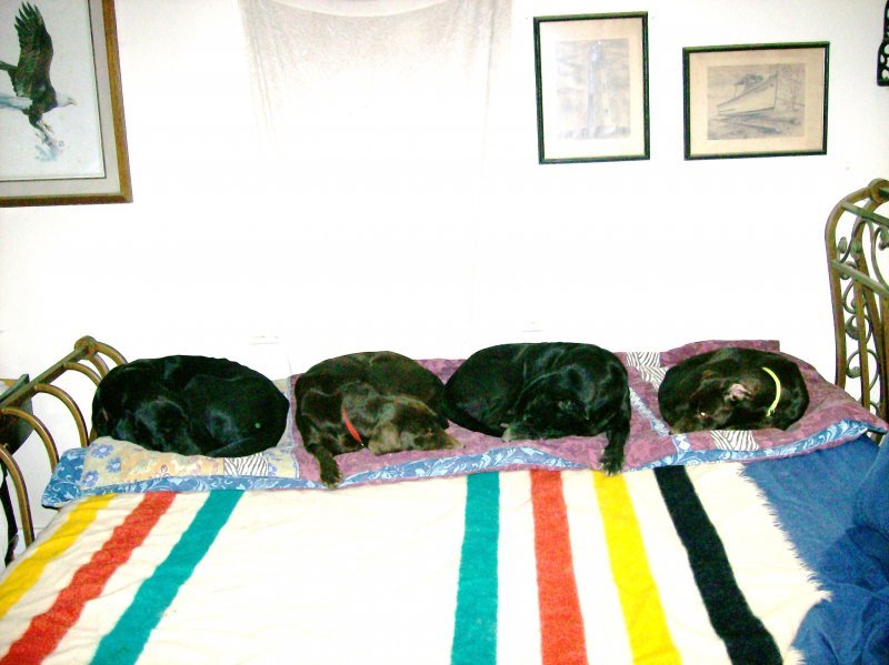 100_2729.JPG 100_2729.JPG