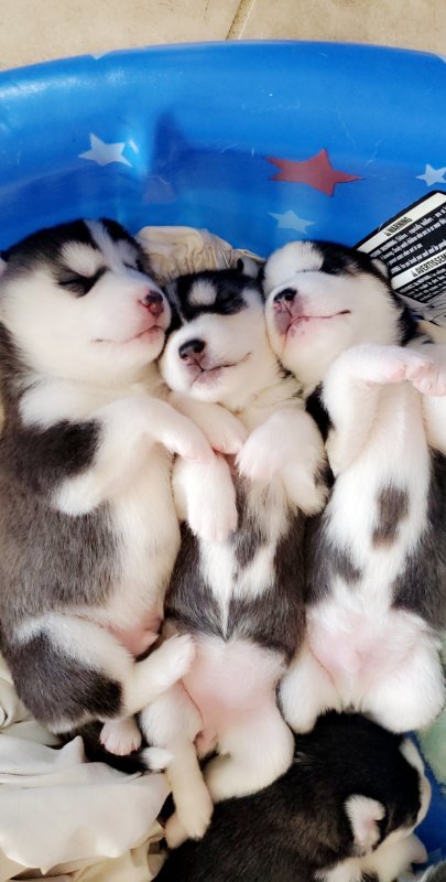 Snapchat-224376603.jpg
