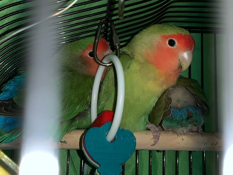 image1.jpeg