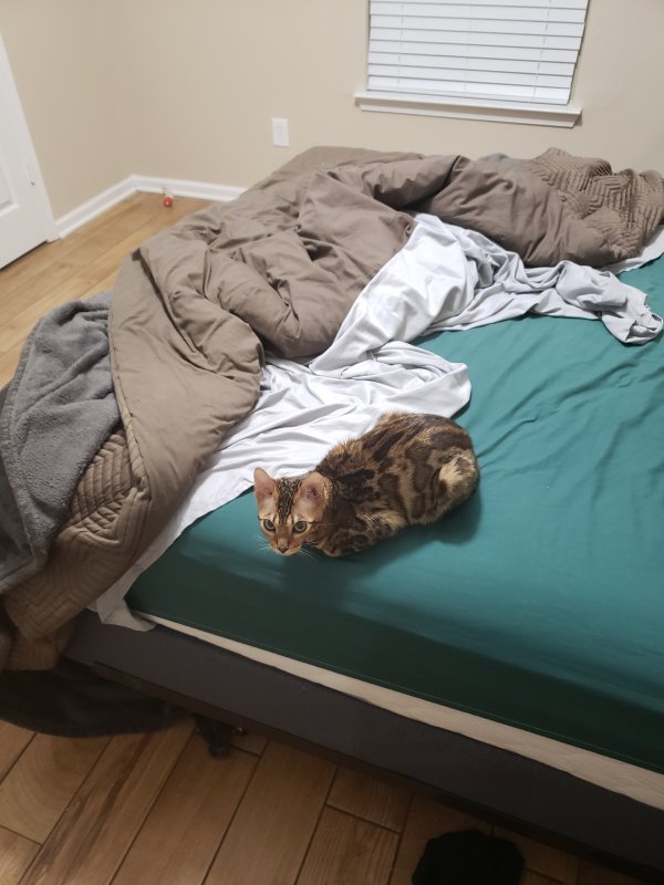 20191105_203745.jpg