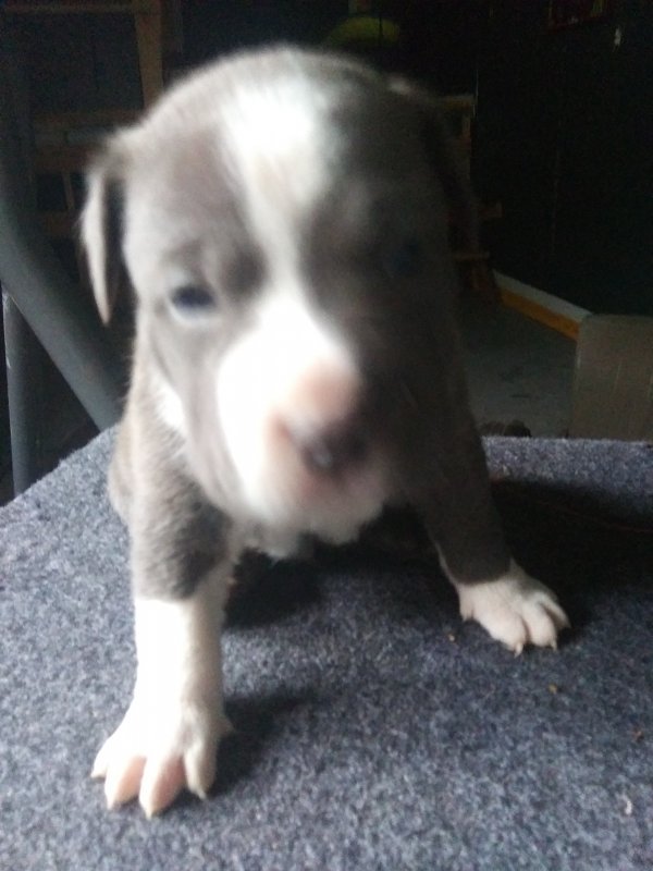 20191114_103156.jpg