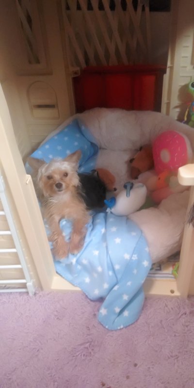 selfiecamera_2019-10-08-21-06-16-437.jpg
