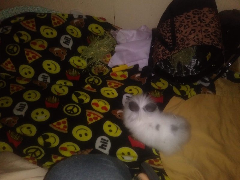received_1394427887381785.jpeg