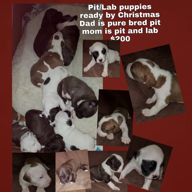 PicsArt_11-18-08.45.27.jpg
