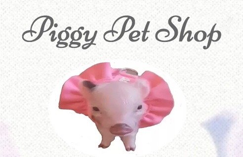 PiggyPetShop.jpg