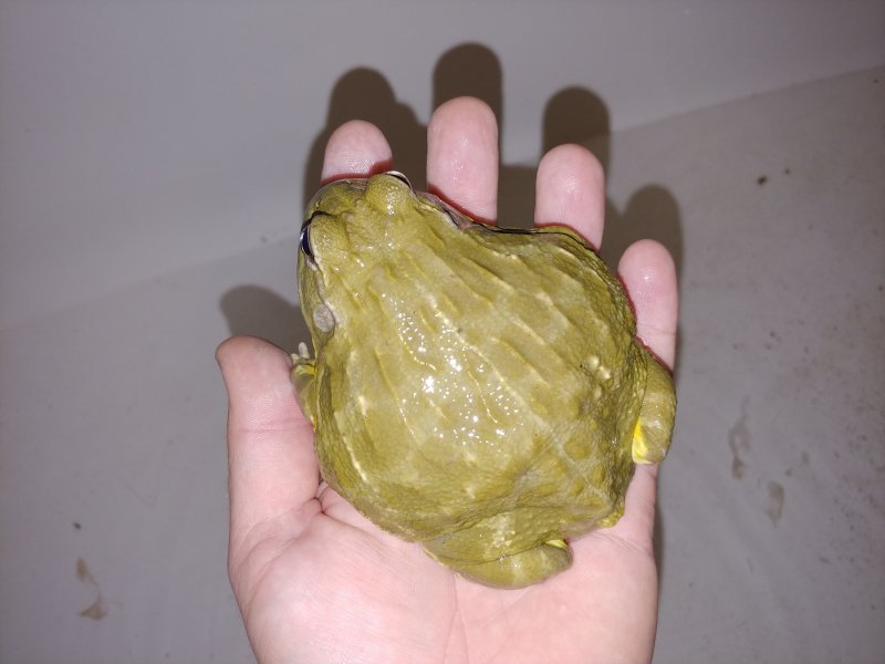 20191121_195923~2.jpg