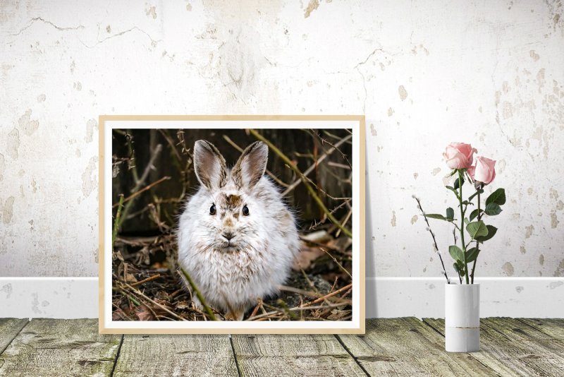 rabbit-frame-flower.jpg