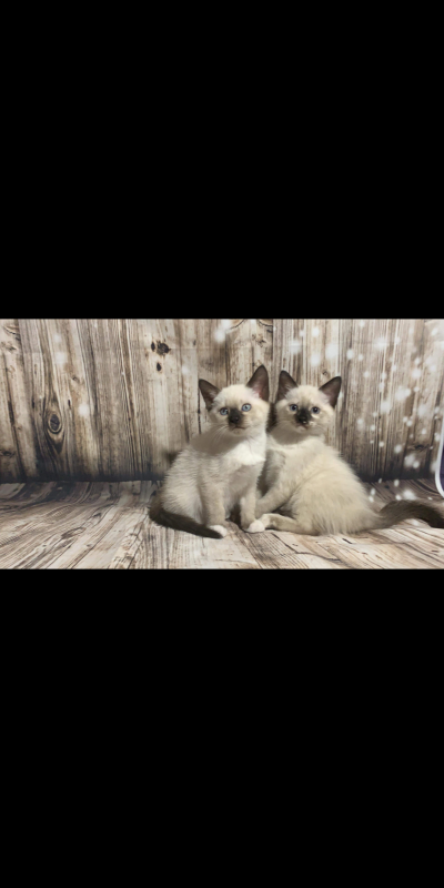 Screenshot_2019-06-23-05-16-53.png