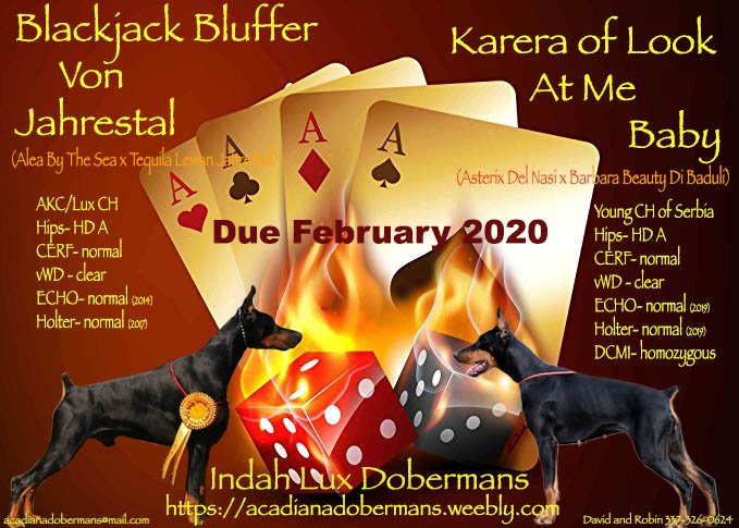 KareraandBlackjacklitterannouncement.jpg
