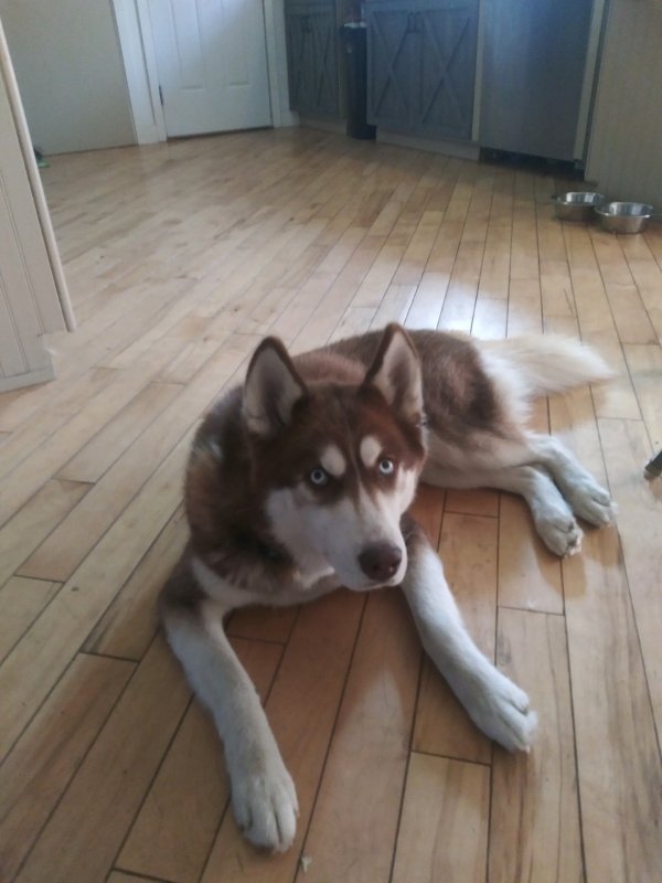 20191031_145928.jpg
