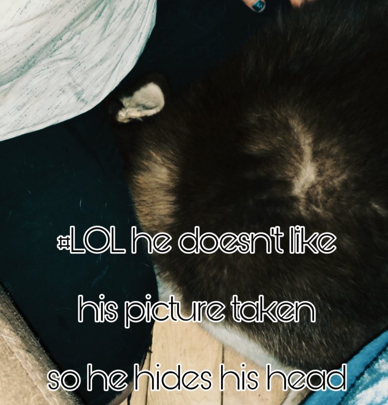 PicsArt_12-05-08.57.10.jpg