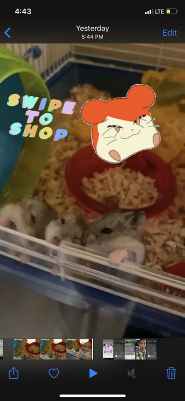 C4DEE84F-27B2-494C-89F1-B1F30539E78B.png