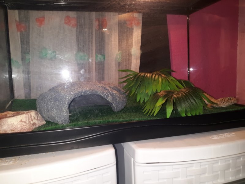 Resized_20191123_095955.jpeg