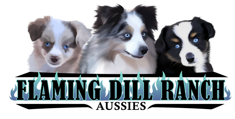 FDRA LOGO.png