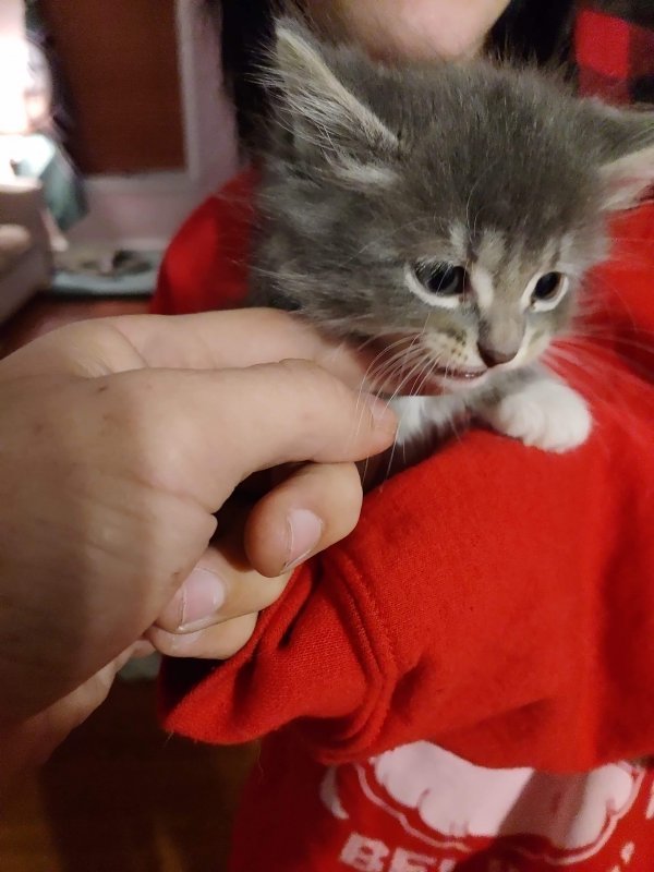 received_430102067667368.jpeg