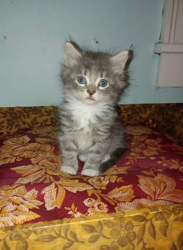 received_431674854190768.jpeg