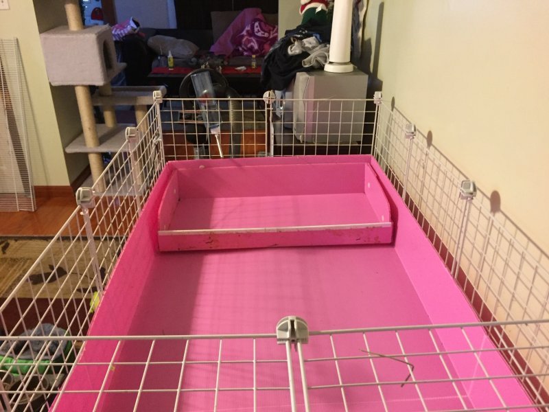 cage 2.JPG