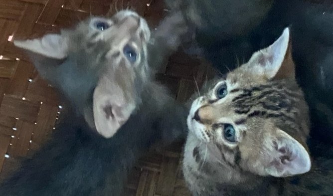 20191217_132233.jpg
