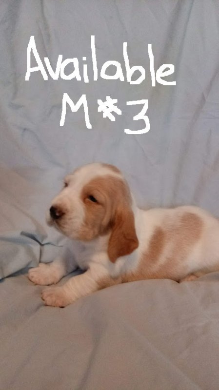 #3 male.jpg #3 male.jpg