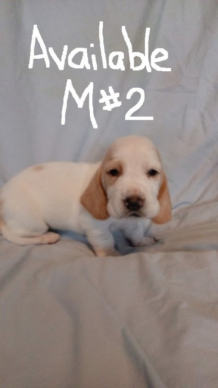 #2 male.jpg #2 male.jpg