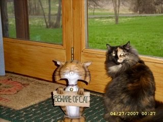 C726BDB8-F648-4E6A-8A80-A710A761FE73.jpeg