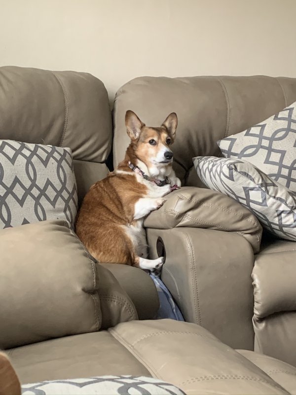 C0519B6D-5FA3-4528-A3C2-CCB5C777FD6B.jpeg
