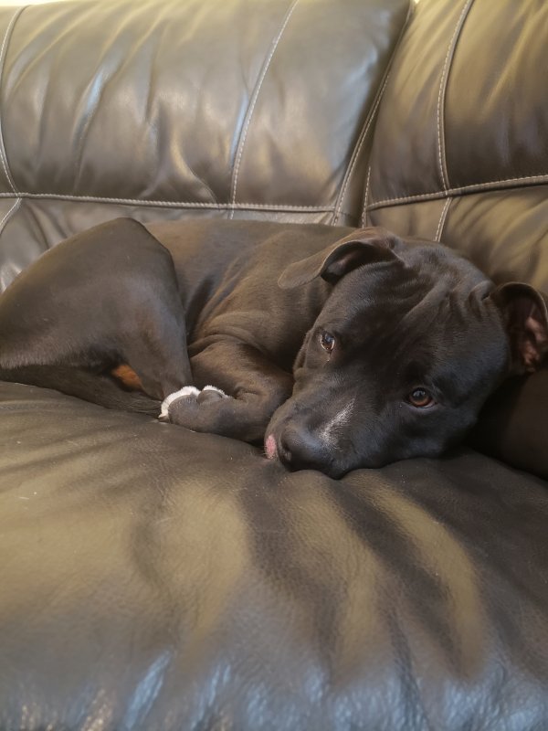 20191108_092547.jpg
