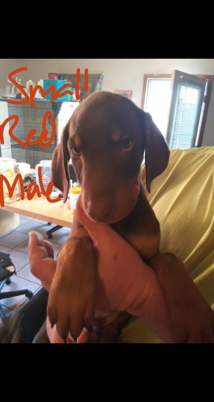 received_2491495314312245.jpeg received_2491495314312245.jpeg